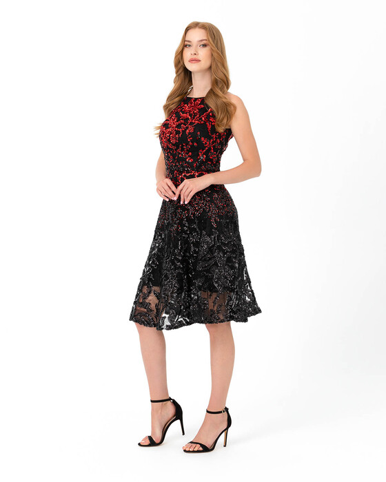 Color Transition Embroidered Evening Dress