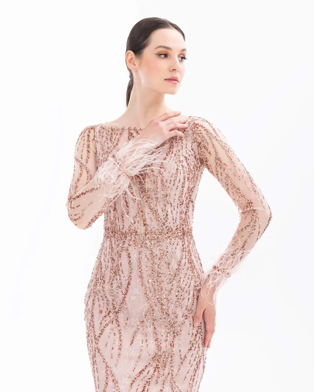 Bead Embroidered Feather Detailed Transparent Evening Dress